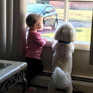 Meet your Posher, Terry